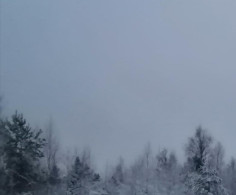 Участок, 9 соток
