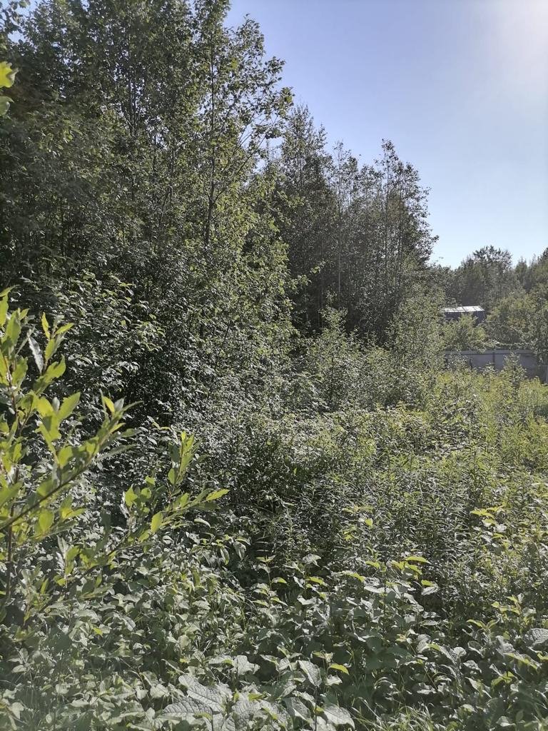 Участок, 9 соток