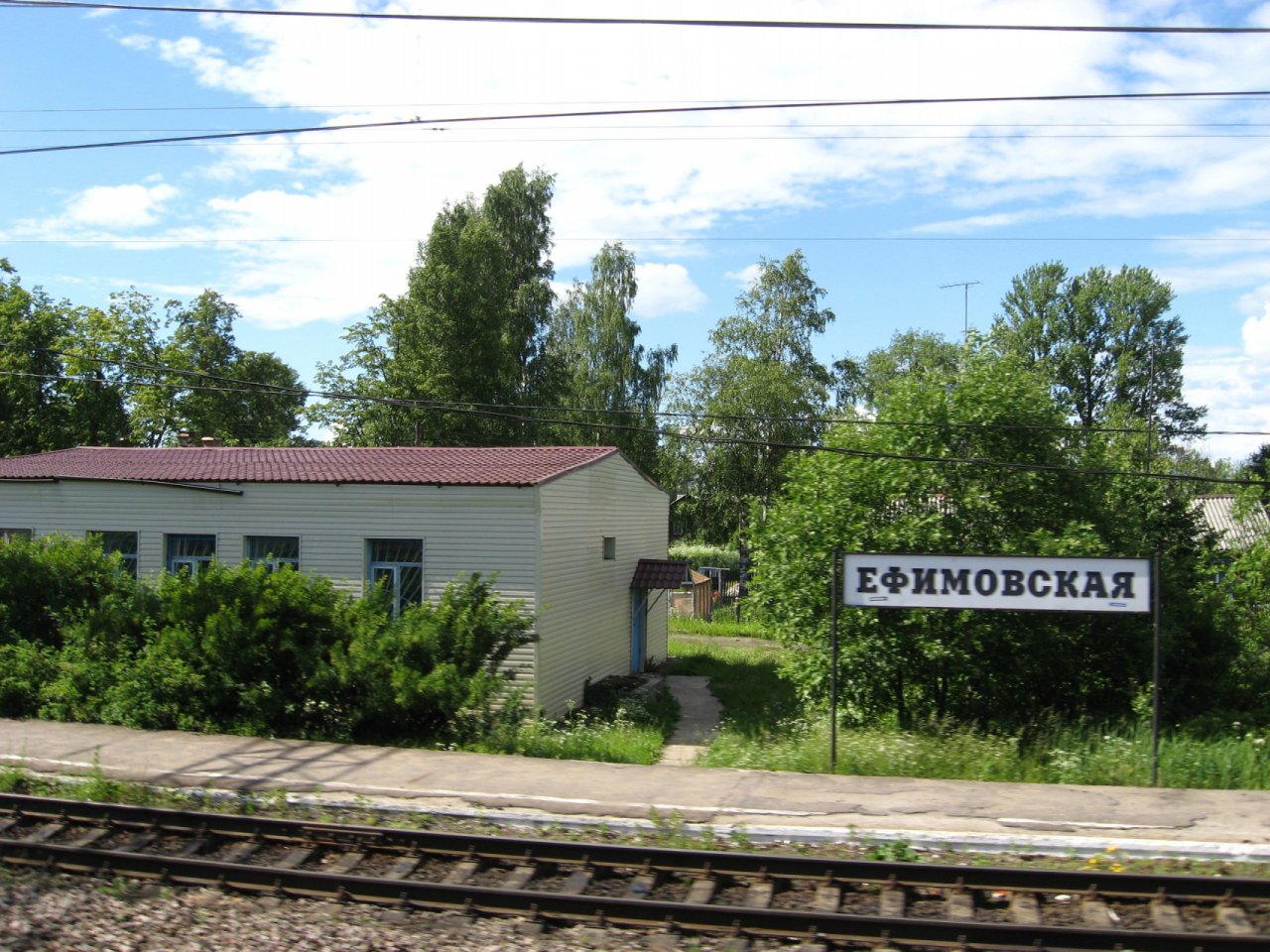 Участок, 290 соток