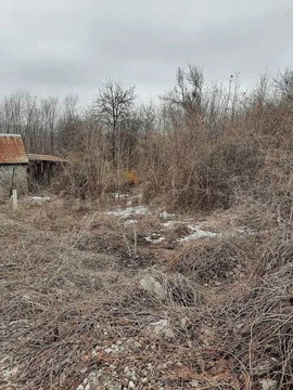 Участок, 6 соток