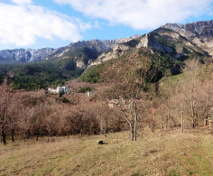 Участок, 10 соток