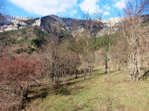 Участок, 10 соток