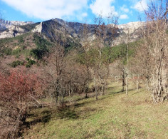 Участок, 10 соток