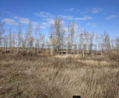 Участок, 20 соток