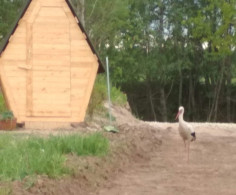Дом, 1 этаж