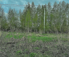 Участок, 61 сотка