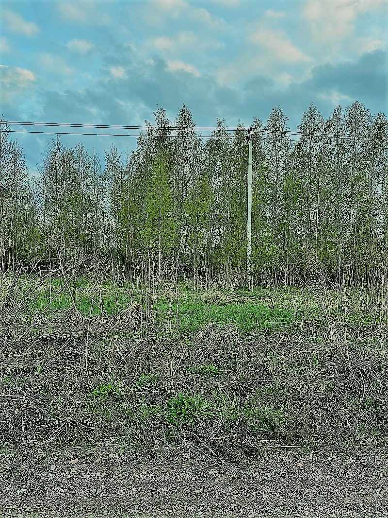 Участок, 61 сотка