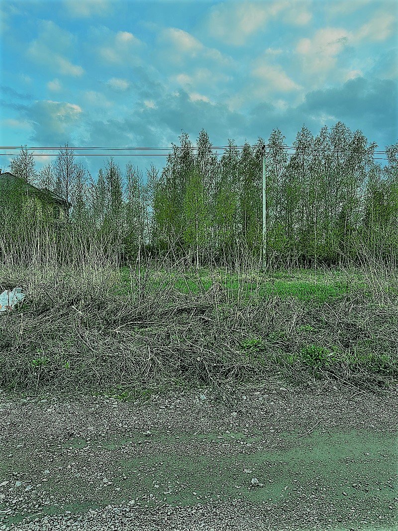Участок, 61 сотка