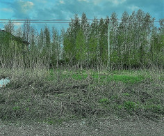 Участок, 61 сотка