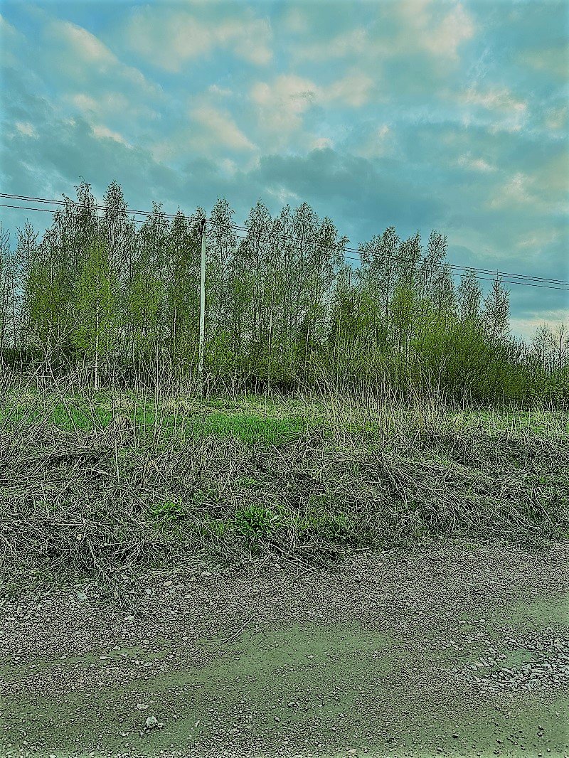 Участок, 61 сотка