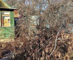 Участок, 3 сотки