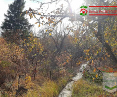 Участок, 6 соток