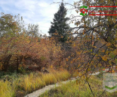 Участок, 6 соток