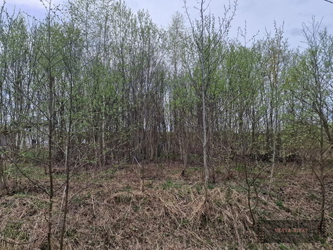 Участок, 10 соток