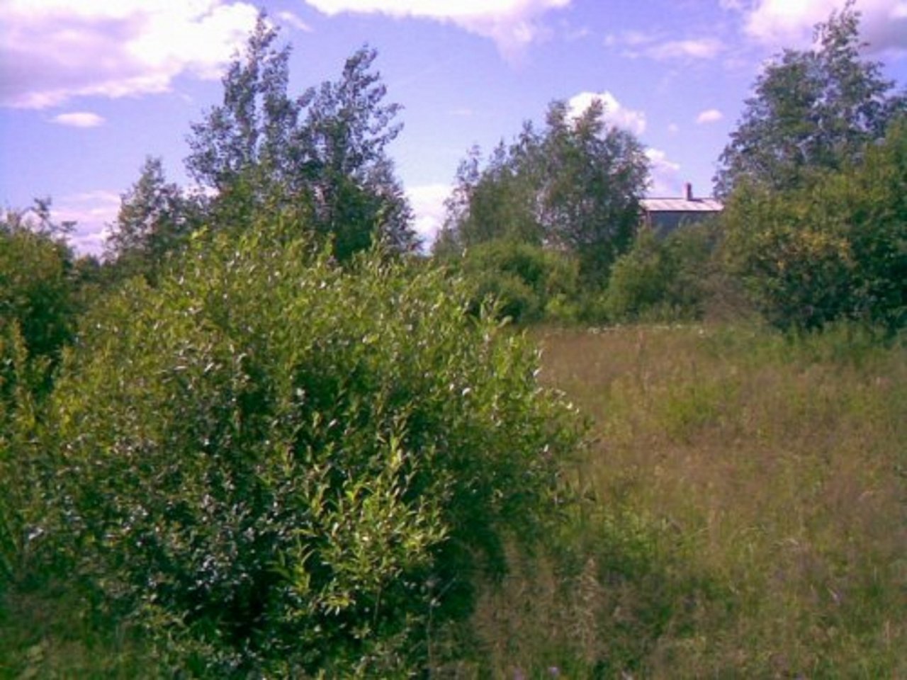 Участок, 10 соток