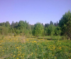 Участок, 10 соток