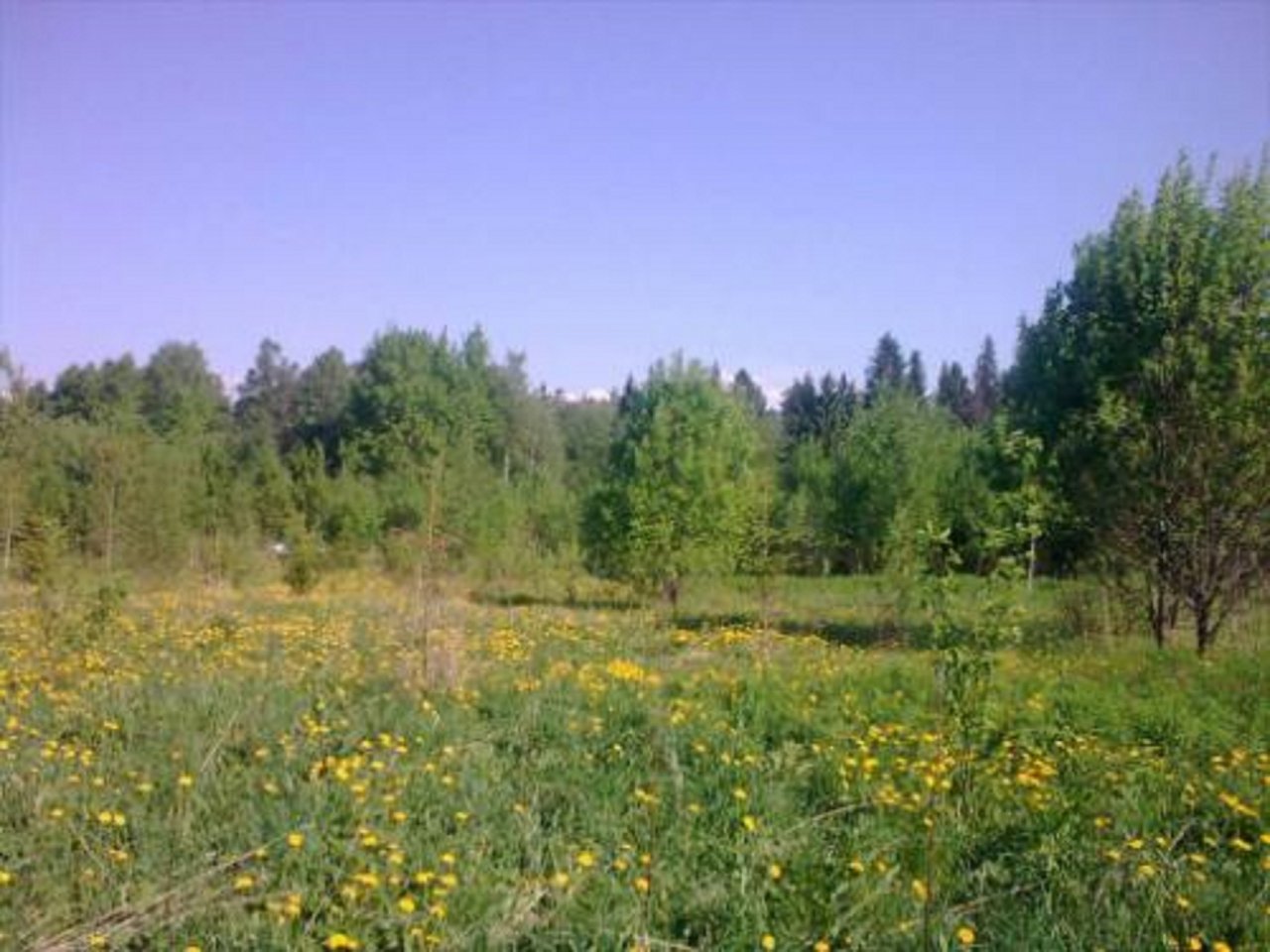 Участок, 10 соток