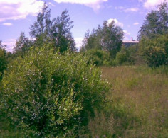 Участок, 10 соток