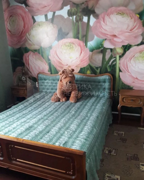 Дом, 3 этажа