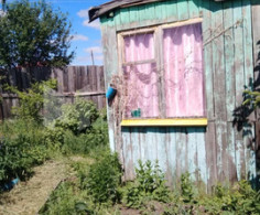 Дом, 1 этаж