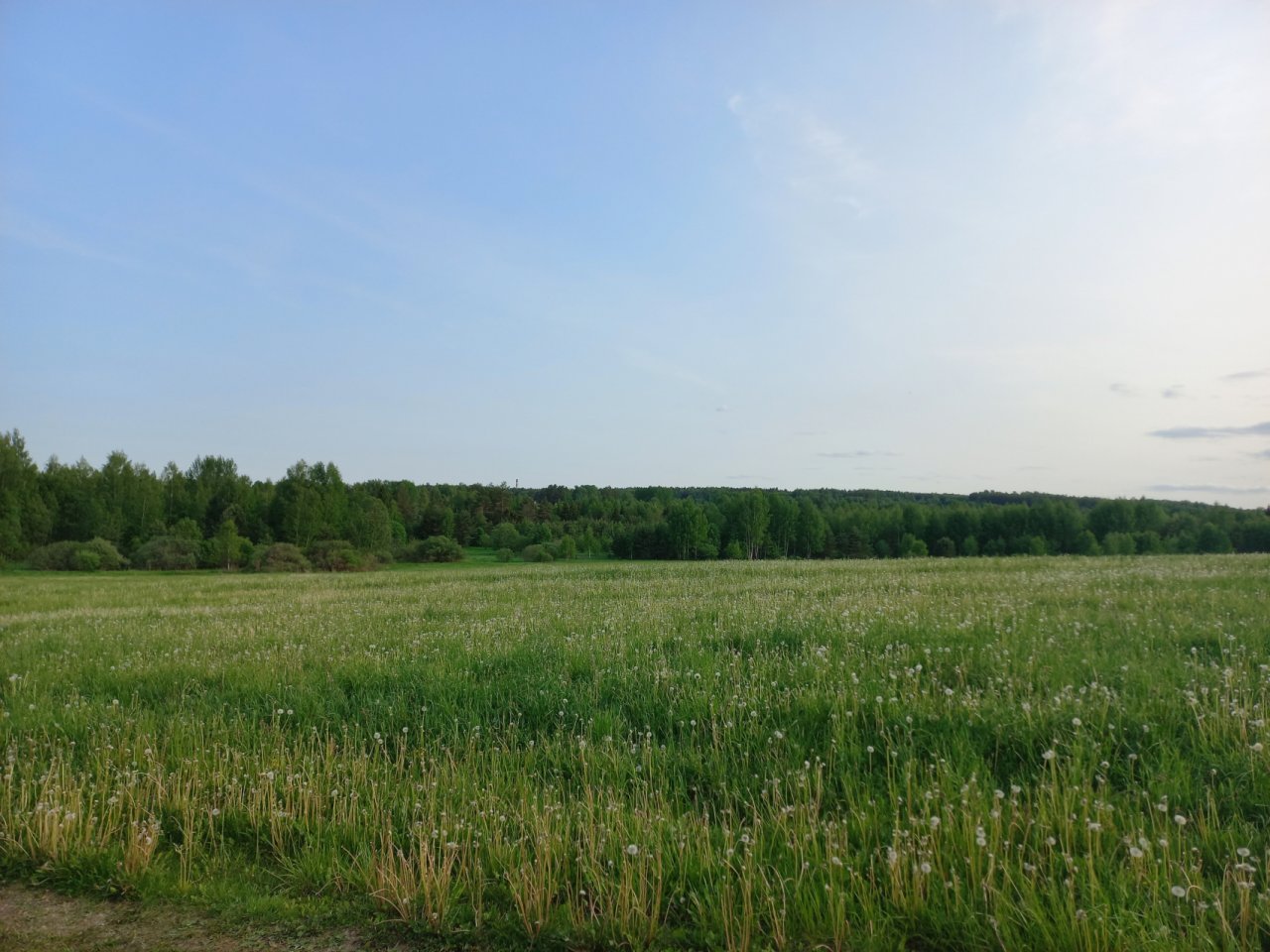 Участок, 3850 соток