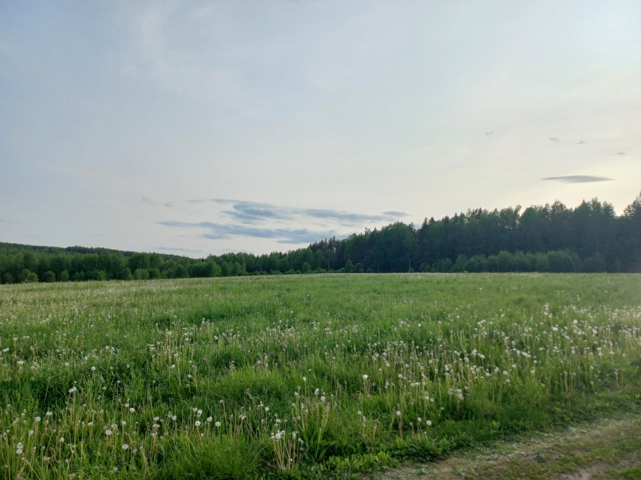 Участок, 3850 соток
