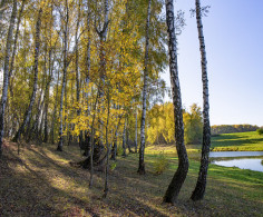 Участок, 12 соток