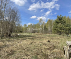 Участок, 60 соток