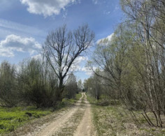 Участок, 60 соток