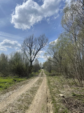 Участок, 60 соток