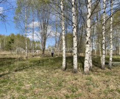 Участок, 60 соток