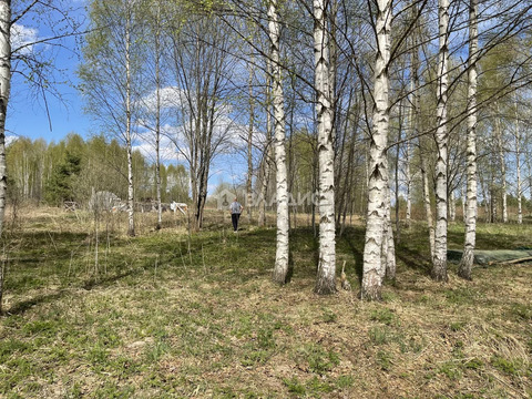 Участок, 60 соток