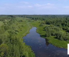 Участок, 84 сотки