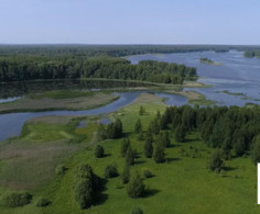 Участок, 84 сотки