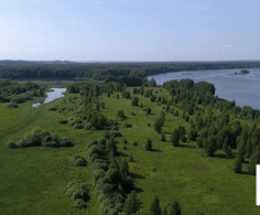 Участок, 84 сотки
