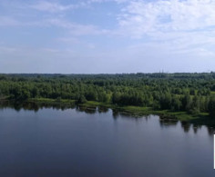 Участок, 84 сотки