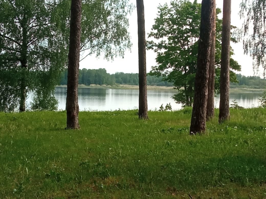 Участок, 14 соток