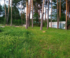 Участок, 14 соток