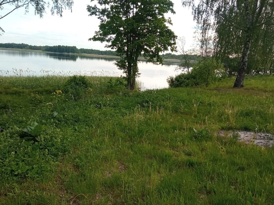 Участок, 14 соток