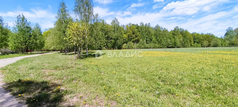 Участок, 50 соток