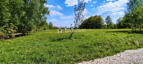 Участок, 50 соток