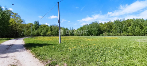 Участок, 50 соток