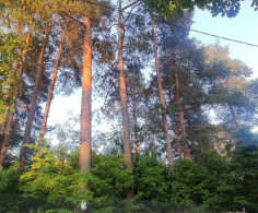 Участок, 25 соток