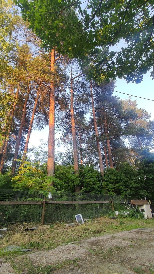 Участок, 25 соток