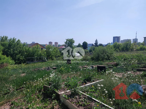 Участок, 12 соток