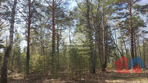 Участок, 9 соток