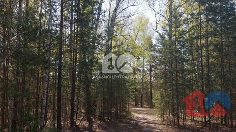 Участок, 9 соток