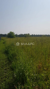 Участок, 40 соток