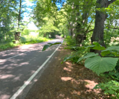 Участок, 6 соток