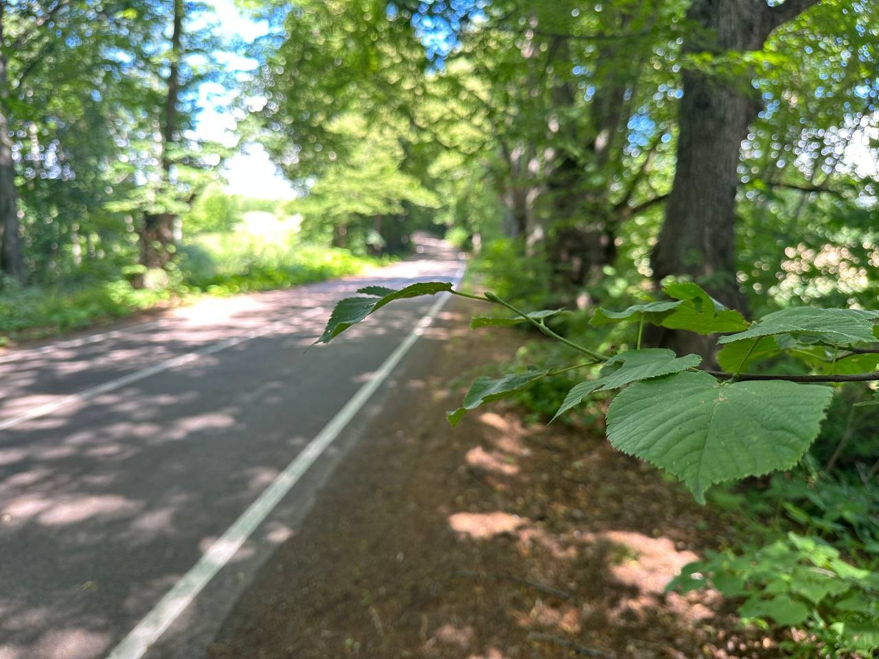 Участок, 6 соток